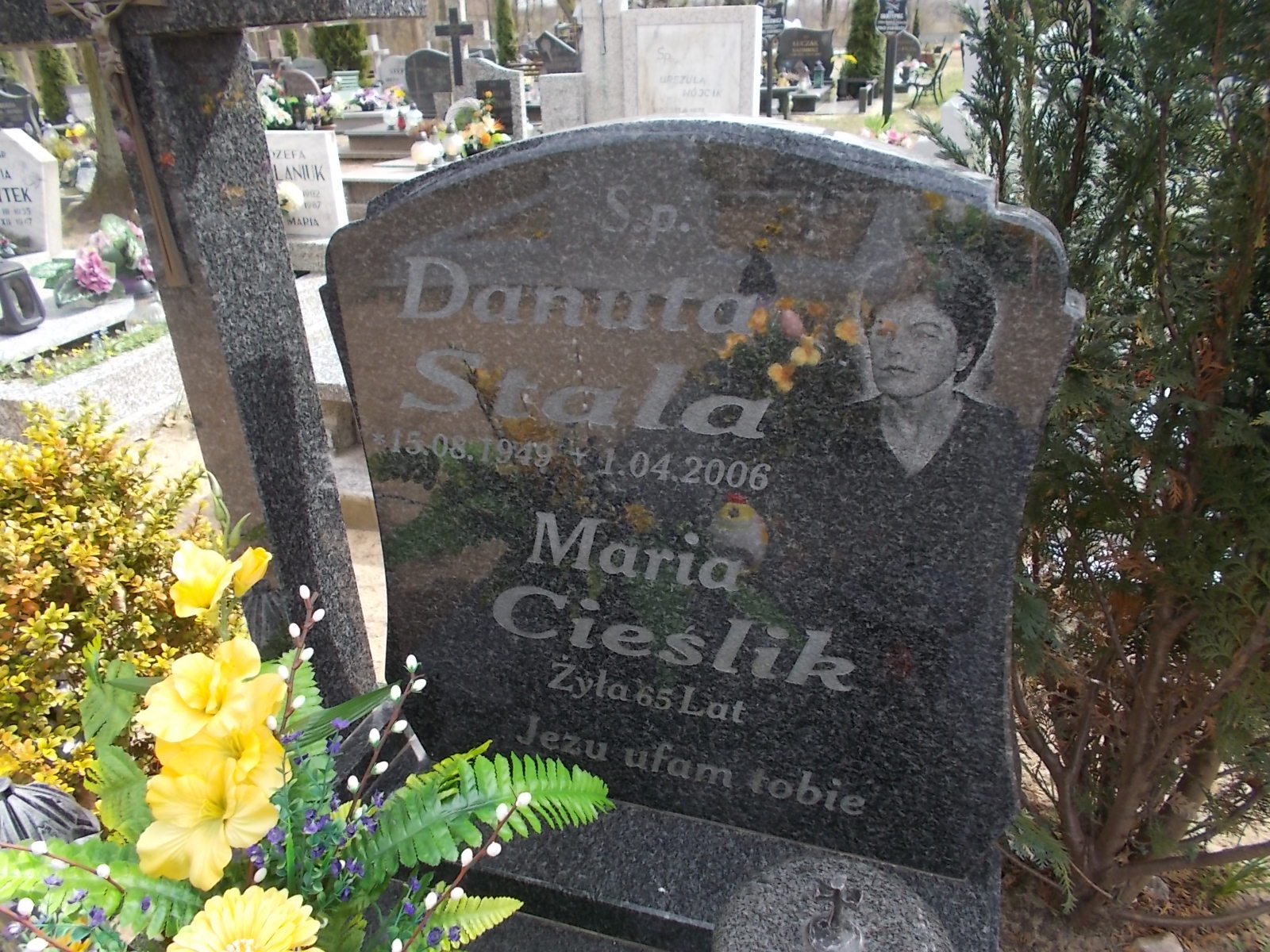 Danuta Stala 1949 Chociwel - Grobonet - Wyszukiwarka osób pochowanych